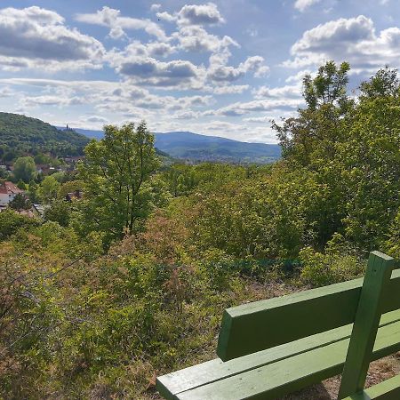 Vila Ferienhaus Paulina Wernigerode Exteriér fotografie
