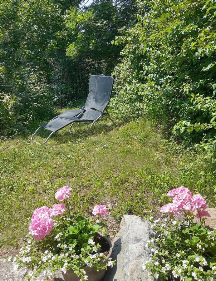 Vila Ferienhaus Paulina Wernigerode Exteriér fotografie